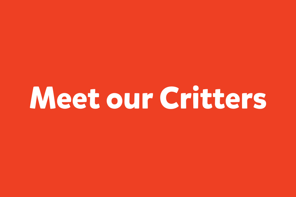 Meet our Critters1